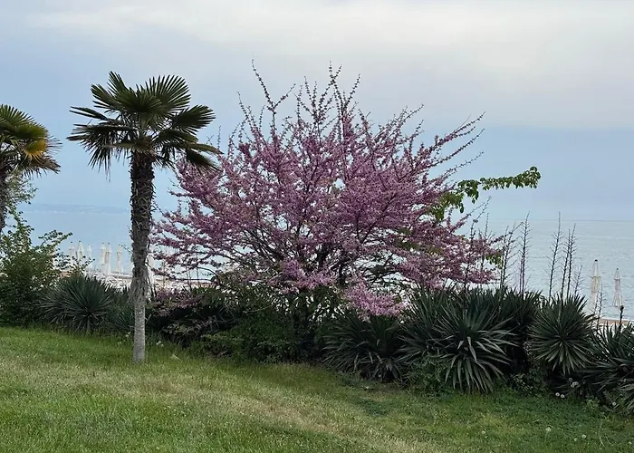 Seaview - 10 Meters To The Warna